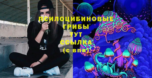PSILOCYBIN Арсеньев