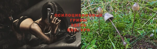 PSILOCYBIN Арсеньев