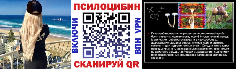 KRAKEN ONION  что такое   Кизел  Галлюциногенные грибы Cubensis 